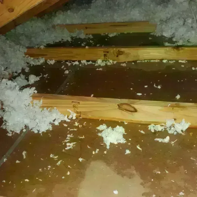 Attic Water Damage in Tallulah, LA